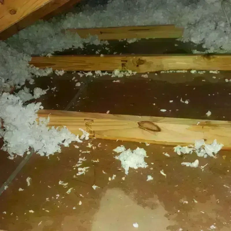 Attic Water Damage in Chatham, NJ