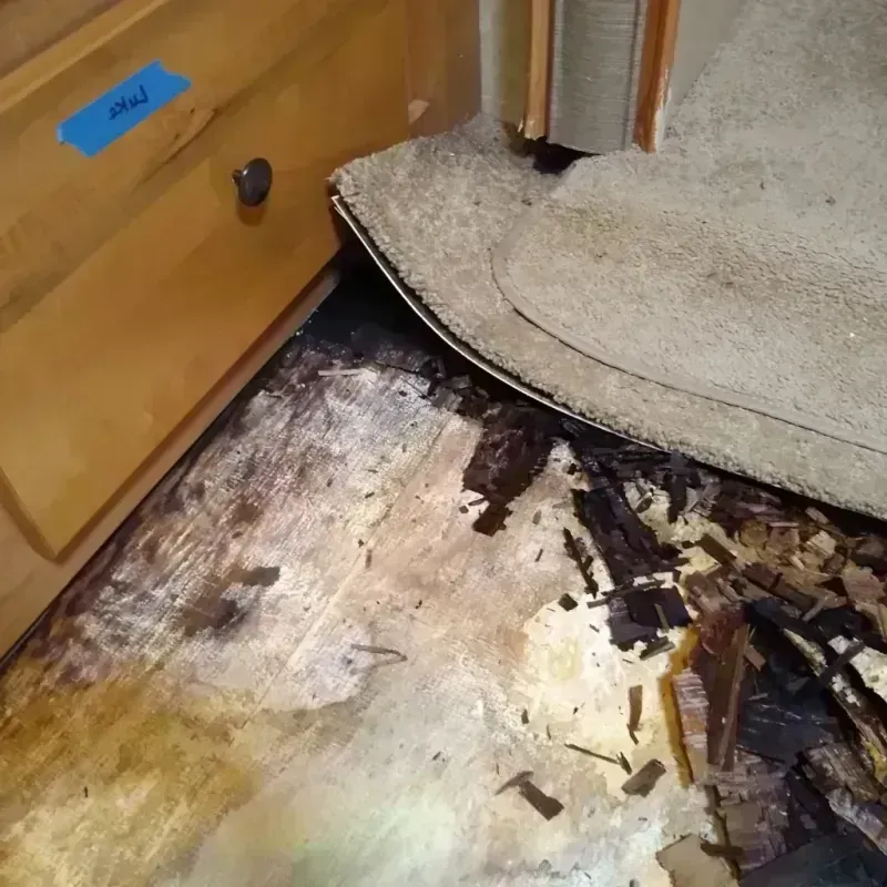 Wood Floor Water Damage in Chatham, NJ